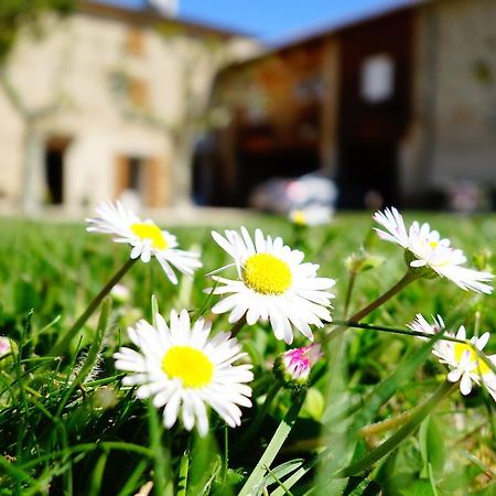 La Ferme Des Denis Chambres Dhotes Chanos-Curson Екстериор снимка